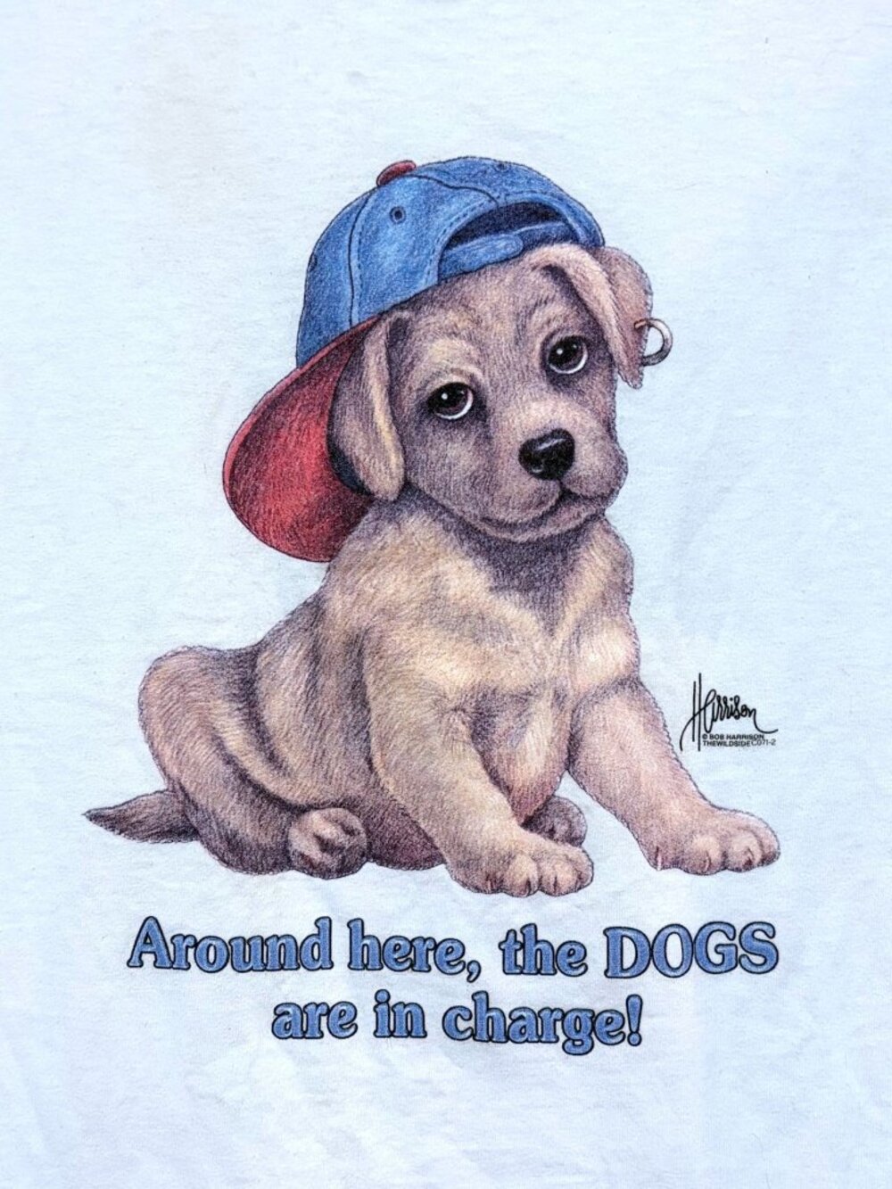 VTG Dog T Shirt L Single Stitch Bob Harrison Dog Lover Baseball Yellow Labrador